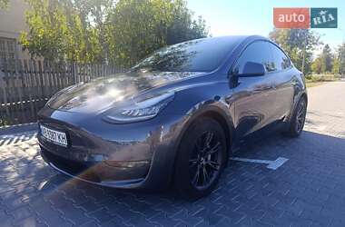Внедорожник / Кроссовер Tesla Model Y 2021 в Тульчине