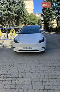 Внедорожник / Кроссовер Tesla Model Y 2024 в Тернополе