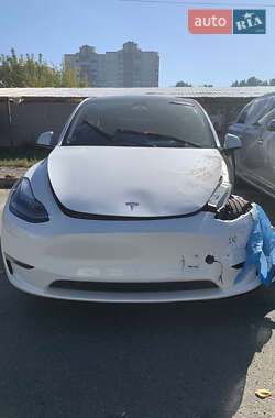 Внедорожник / Кроссовер Tesla Model Y 2023 в Сумах