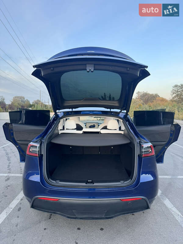 Позашляховик / Кросовер Tesla Model Y 2023 в Ірпені