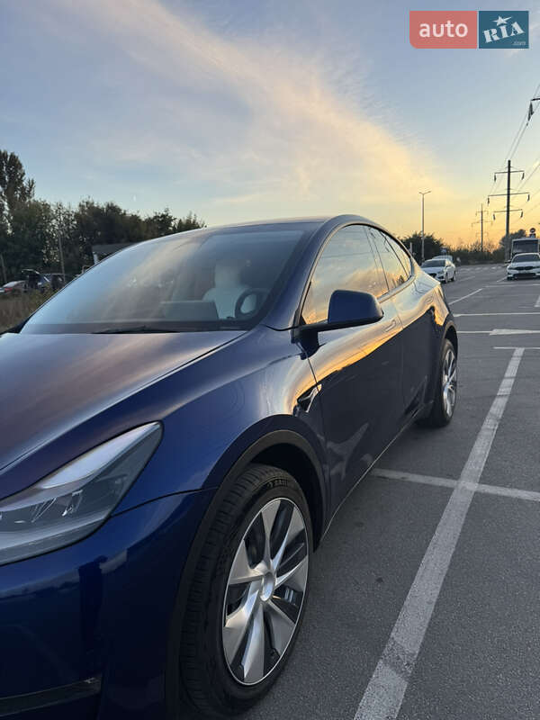 Позашляховик / Кросовер Tesla Model Y 2023 в Ірпені
