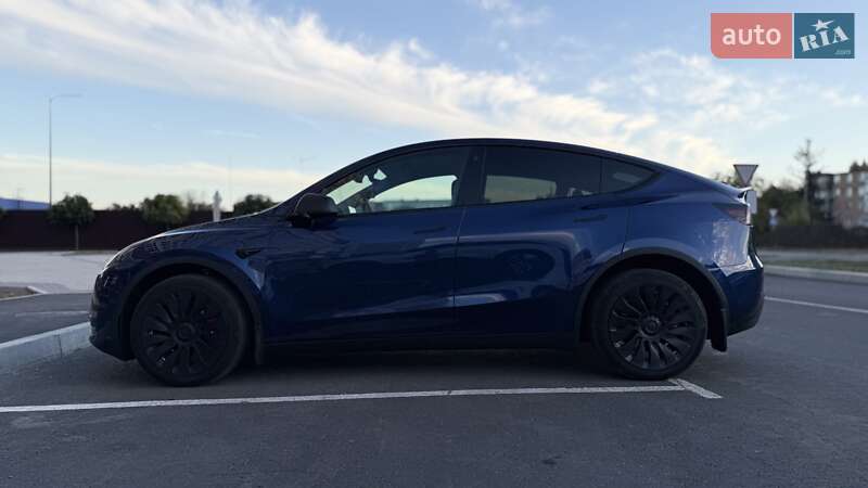 Внедорожник / Кроссовер Tesla Model Y 2022 в Умани