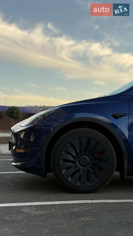 Внедорожник / Кроссовер Tesla Model Y 2022 в Умани