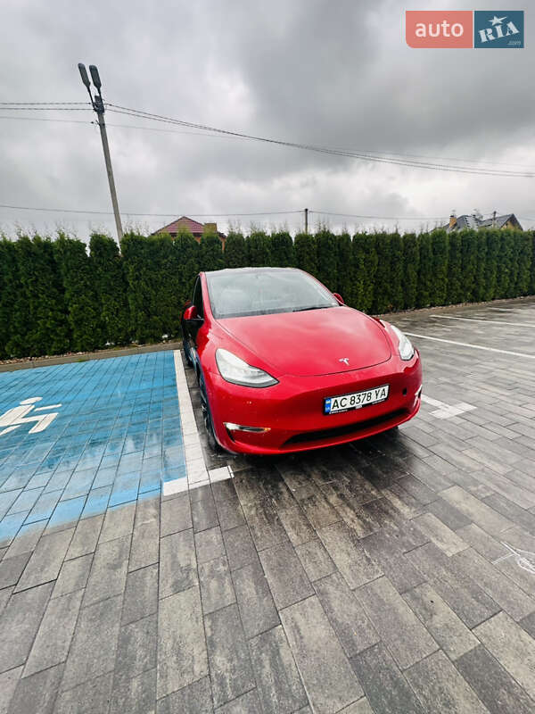 Позашляховик / Кросовер Tesla Model Y 2021 в Луцьку