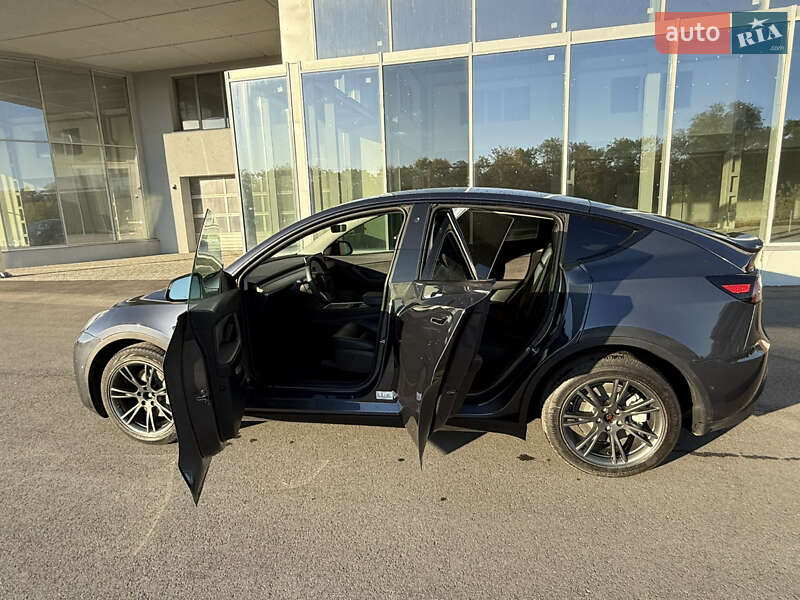 Внедорожник / Кроссовер Tesla Model Y 2022 в Днепре