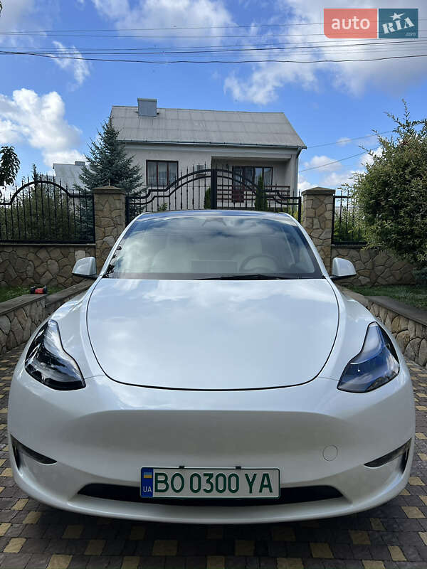Позашляховик / Кросовер Tesla Model Y 2023 в Тернополі