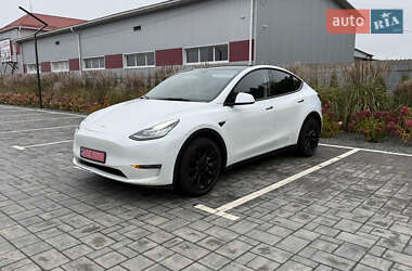 Позашляховик / Кросовер Tesla Model Y 2022 в Луцьку
