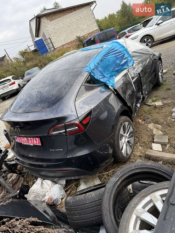 Позашляховик / Кросовер Tesla Model Y 2025 в 