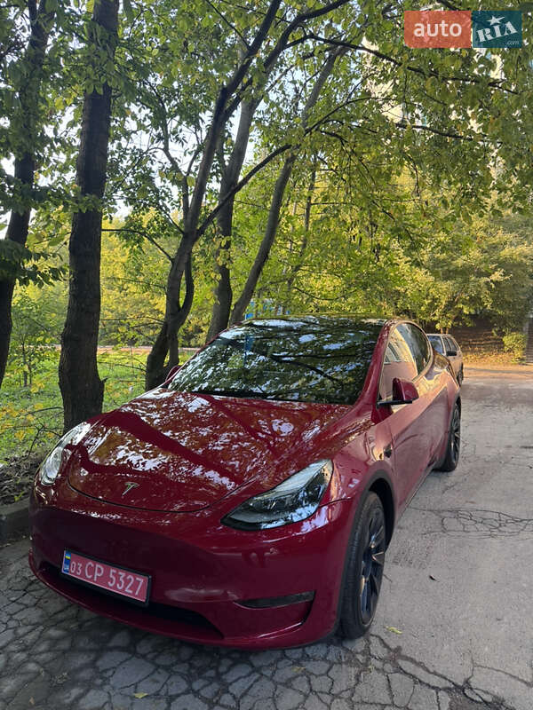Позашляховик / Кросовер Tesla Model Y 2023 в Луцьку
