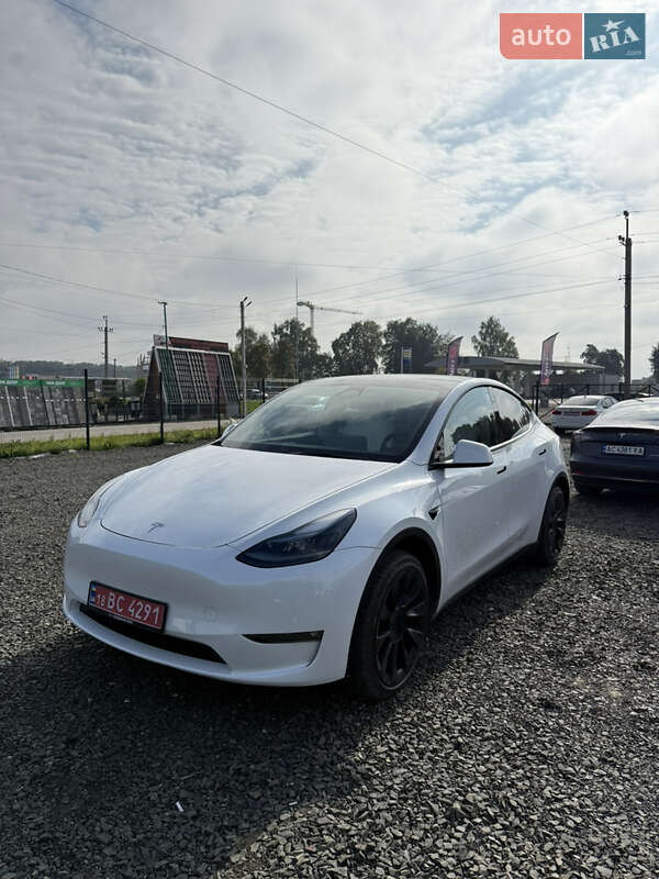 Позашляховик / Кросовер Tesla Model Y 2023 в Луцьку