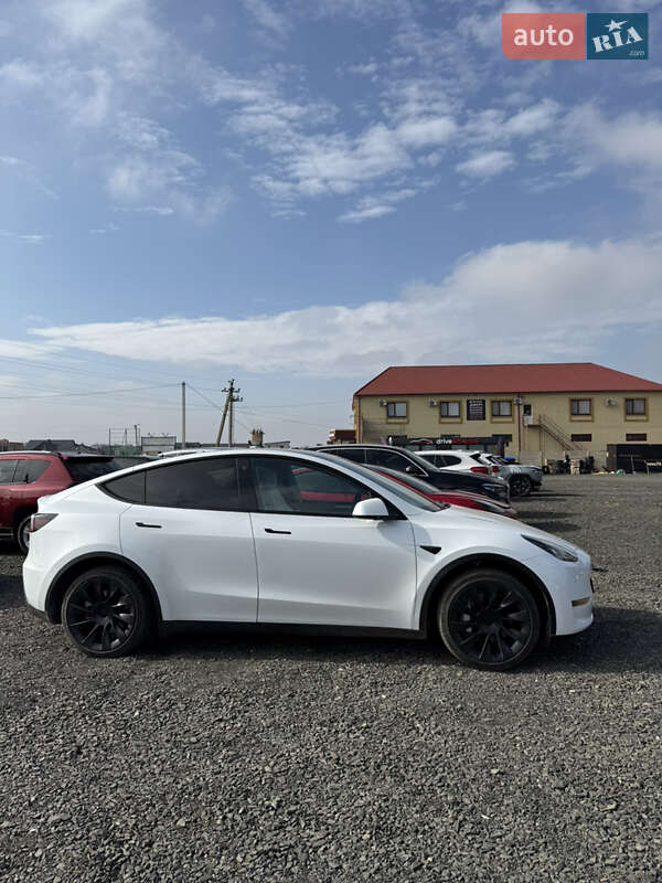 Позашляховик / Кросовер Tesla Model Y 2023 в Луцьку