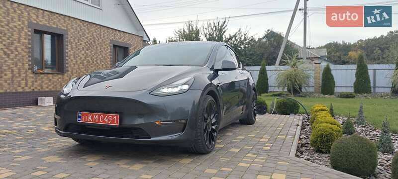 Внедорожник / Кроссовер Tesla Model Y 2022 в Верхнеднепровске