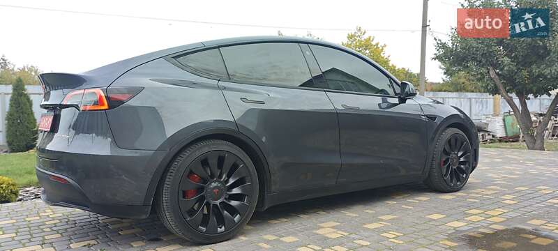 Внедорожник / Кроссовер Tesla Model Y 2022 в Верхнеднепровске