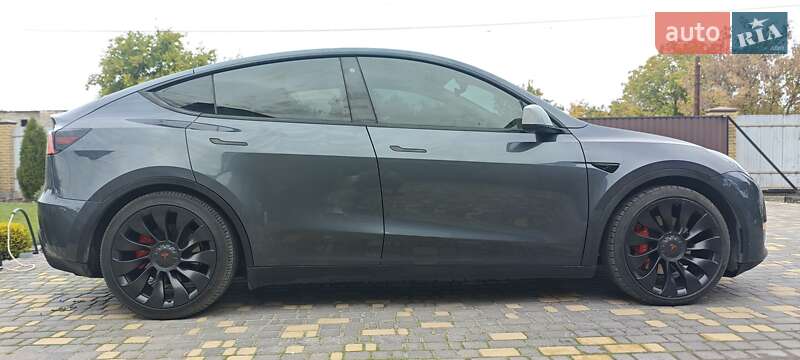 Внедорожник / Кроссовер Tesla Model Y 2022 в Верхнеднепровске