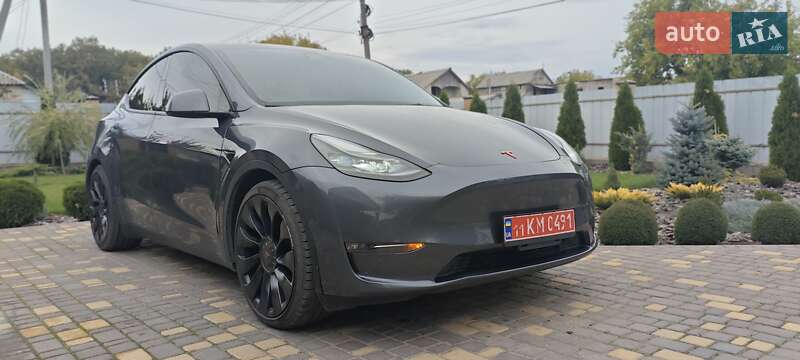 Внедорожник / Кроссовер Tesla Model Y 2022 в Верхнеднепровске