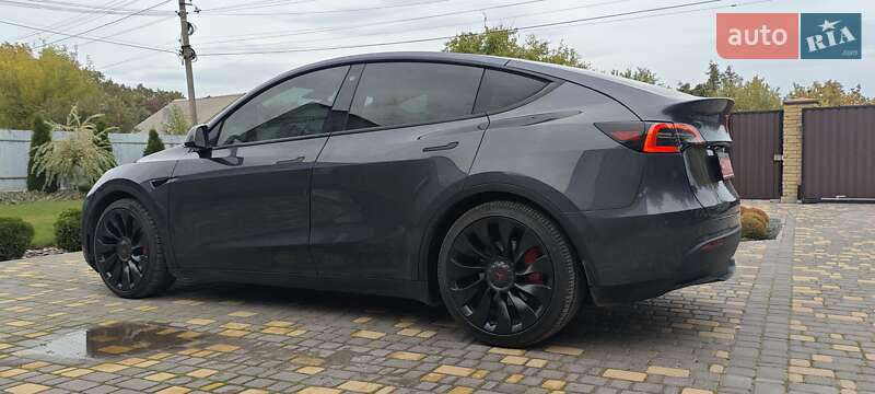 Внедорожник / Кроссовер Tesla Model Y 2022 в Верхнеднепровске