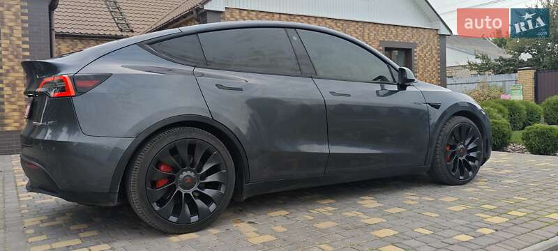 Внедорожник / Кроссовер Tesla Model Y 2022 в Верхнеднепровске
