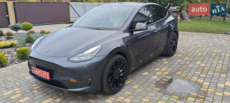 Внедорожник / Кроссовер Tesla Model Y 2022 в Верхнеднепровске