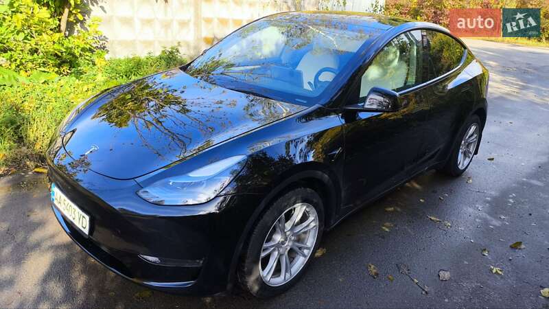 Позашляховик / Кросовер Tesla Model Y 2023 в Києві