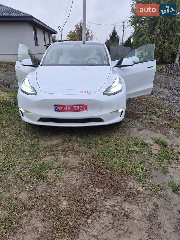 Внедорожник / Кроссовер Tesla Model Y 2020 в Луцке