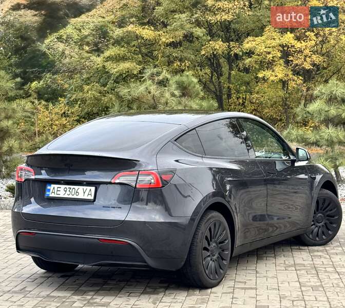 Позашляховик / Кросовер Tesla Model Y 2024 в Дніпрі