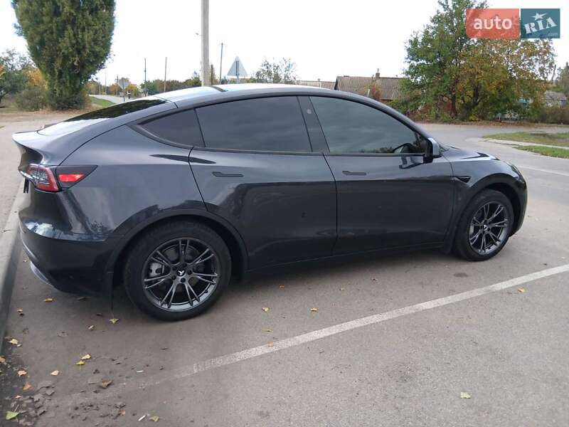 Позашляховик / Кросовер Tesla Model Y 2024 в Дніпрі