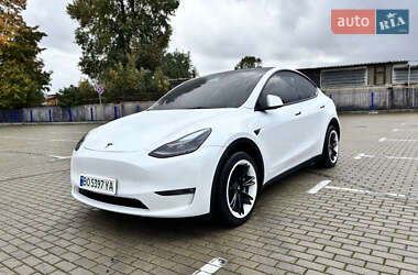 Внедорожник / Кроссовер Tesla Model Y 2023 в Тернополе