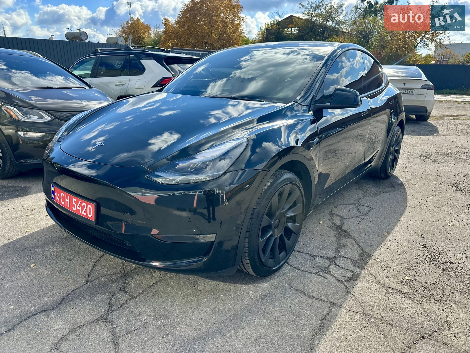 2022 Tesla Model Y - мініатюра 12