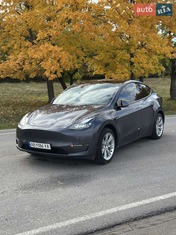 Внедорожник / Кроссовер Tesla Model Y 2023 в Виннице