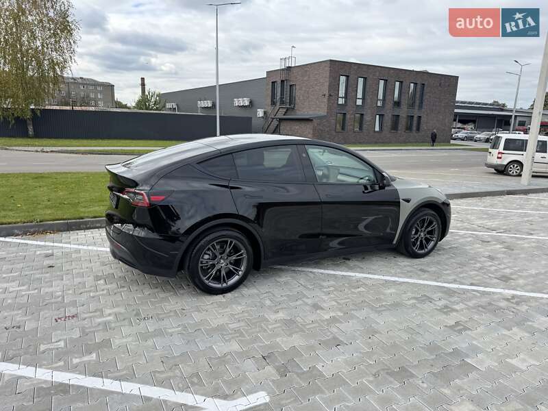 Внедорожник / Кроссовер Tesla Model Y 2024 в Сарнах