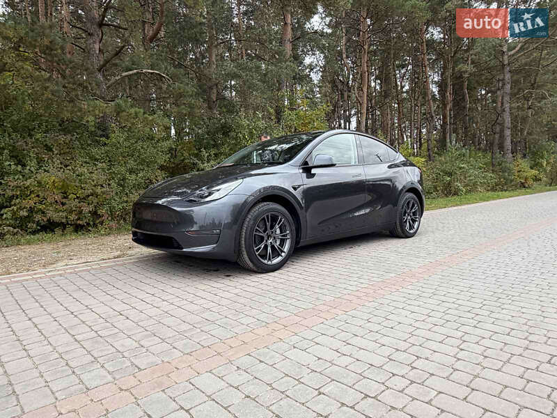 Позашляховик / Кросовер Tesla Model Y 2024 в Львові