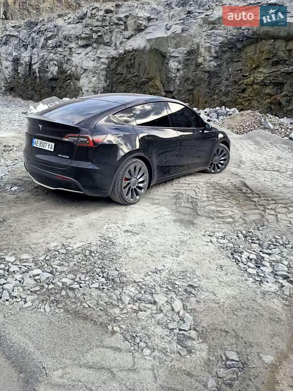 Внедорожник / Кроссовер Tesla Model Y 2021 в Днепре