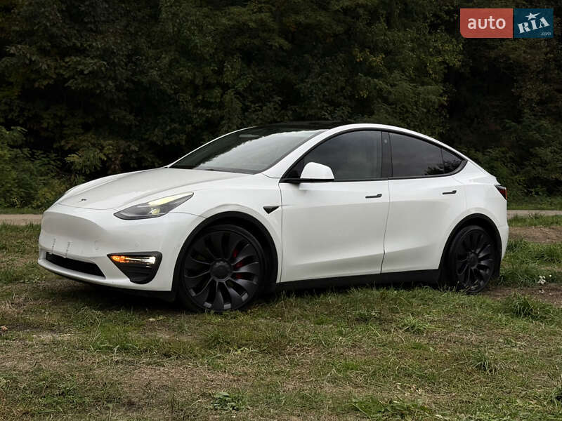 Позашляховик / Кросовер Tesla Model Y 2022 в Городку фото 2 Позашляховик / Кросовер Tesla Model Y 2022 в Городку