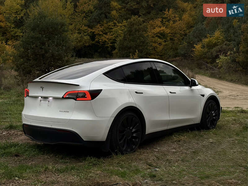 Позашляховик / Кросовер Tesla Model Y 2022 в Городку фото 7 Позашляховик / Кросовер Tesla Model Y 2022 в Городку