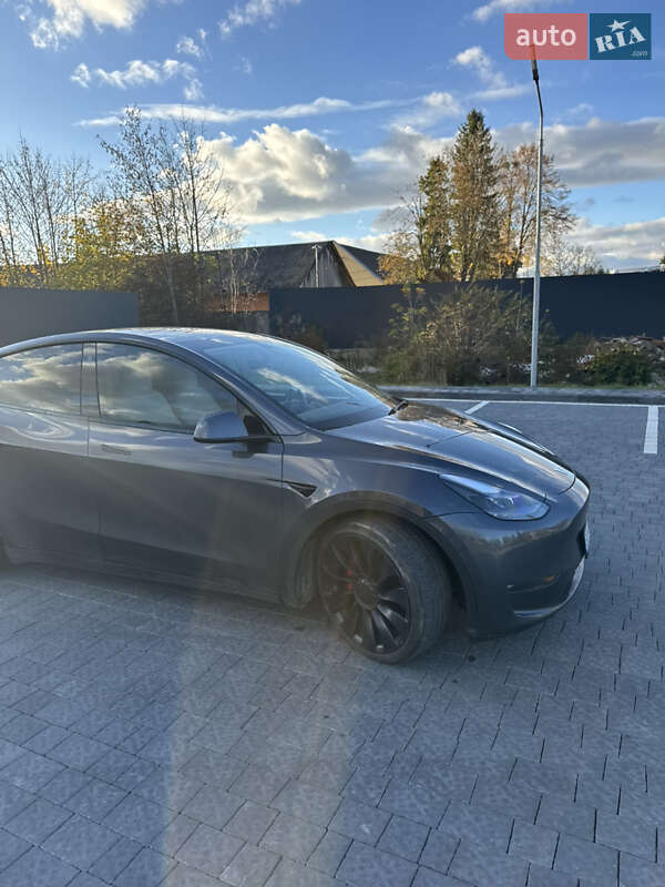 Позашляховик / Кросовер Tesla Model Y 2022 в Львові