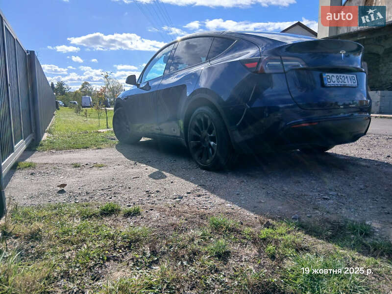 Позашляховик / Кросовер Tesla Model Y 2023 в Буську