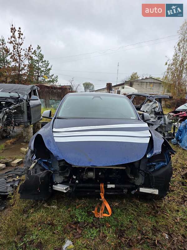 Внедорожник / Кроссовер Tesla Model Y 2024 в Коростене фото 6 Внедорожник / Кроссовер Tesla Model Y 2024 в Коростене