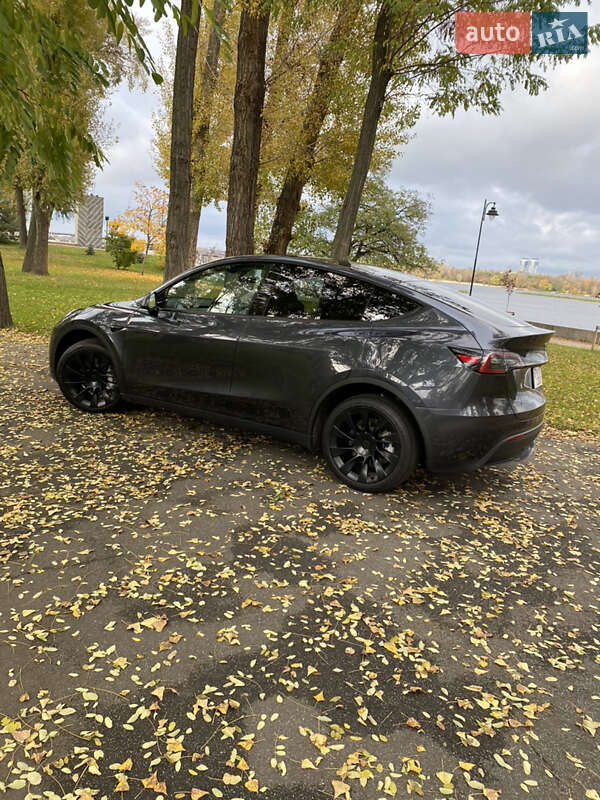 Позашляховик / Кросовер Tesla Model Y 2024 в Києві