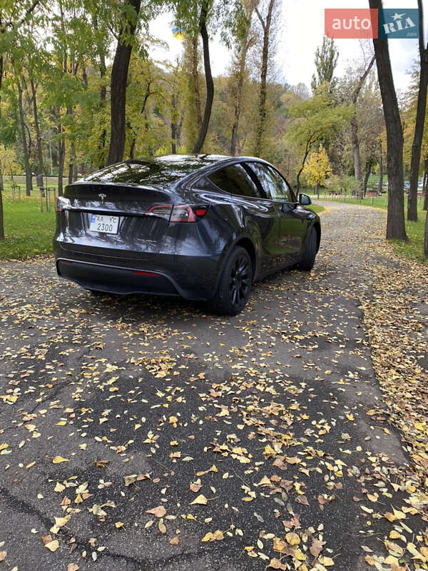 Позашляховик / Кросовер Tesla Model Y 2024 в Києві