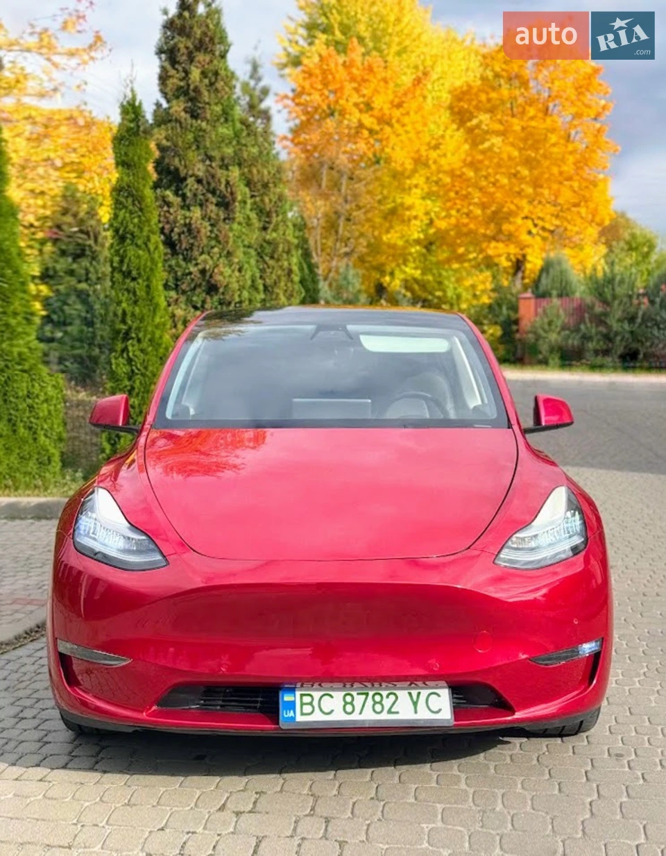 2022 Tesla Model Y - мініатюра 15