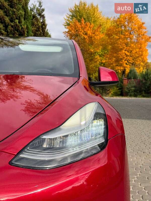 Позашляховик / Кросовер Tesla Model Y 2021 в Львові фото 3 Позашляховик / Кросовер Tesla Model Y 2021 в Львові
