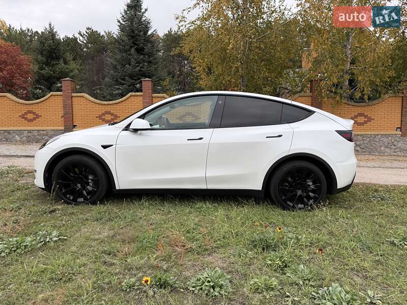 Внедорожник / Кроссовер Tesla Model Y 2021 в Запорожье