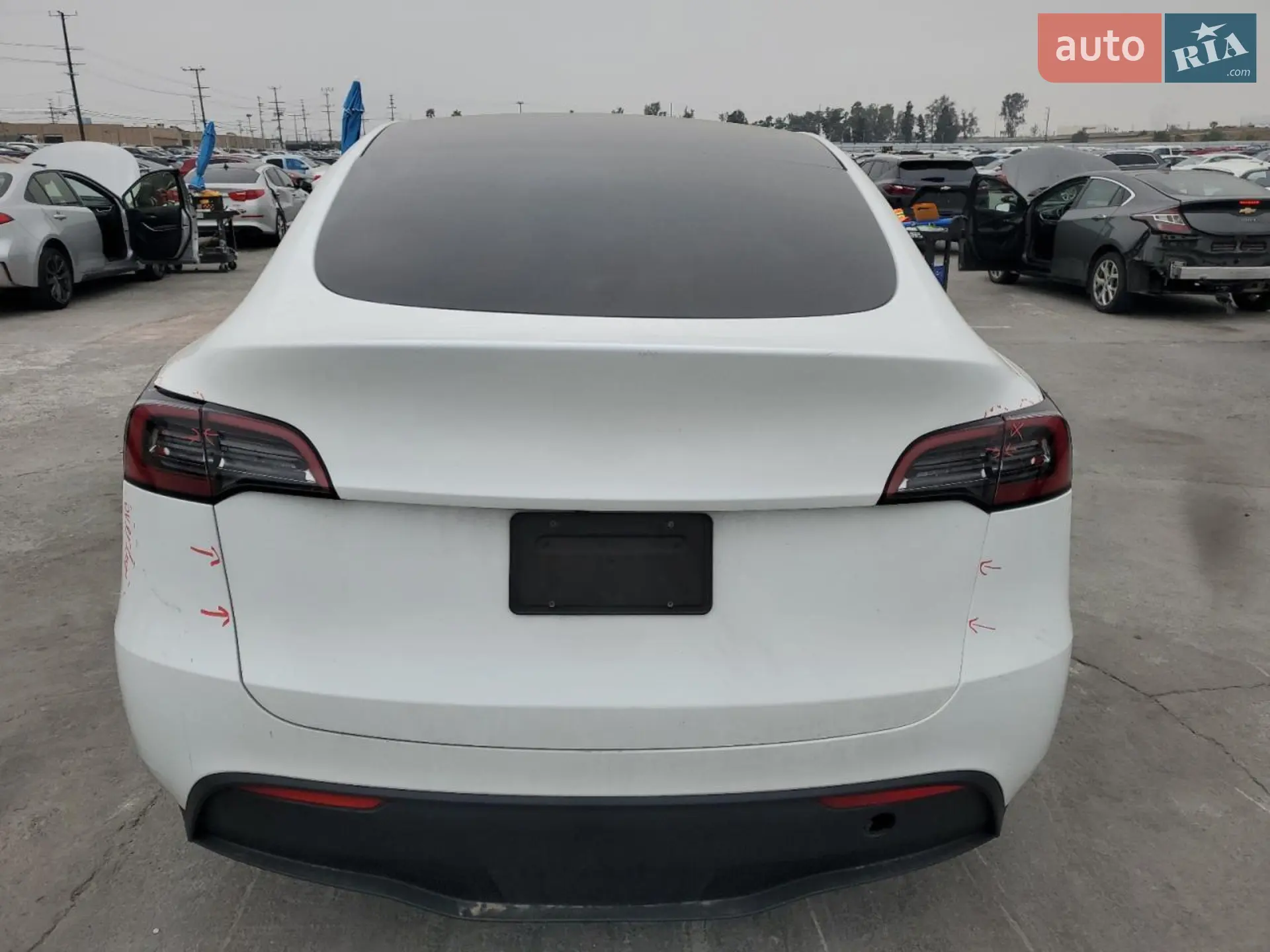 2023 Tesla Model Y - мініатюра 12