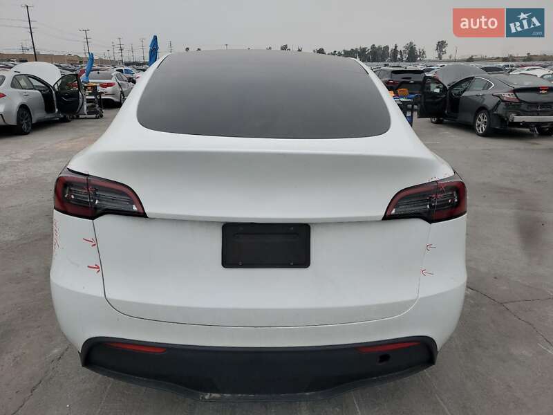 Позашляховик / Кросовер Tesla Model Y 2023 в Києві