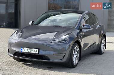 Внедорожник / Кроссовер Tesla Model Y 2023 в Черновцах