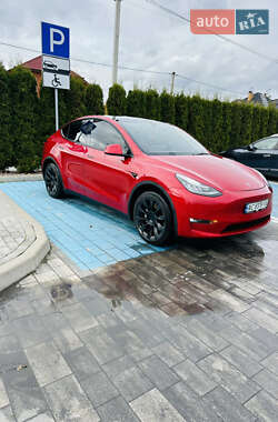 Позашляховик / Кросовер Tesla Model Y 2021 в Луцьку