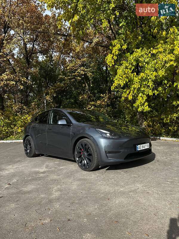 Внедорожник / Кроссовер Tesla Model Y 2021 в Каменском