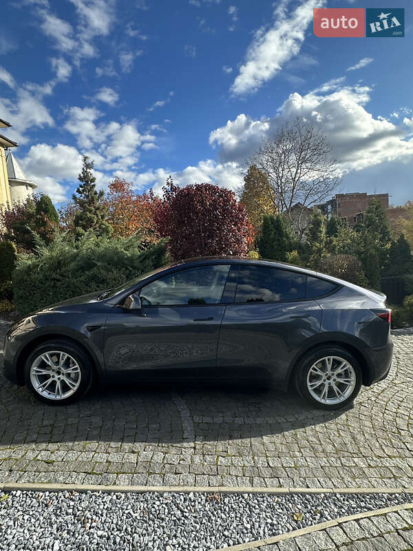 Внедорожник / Кроссовер Tesla Model Y 2023 в Черновцах