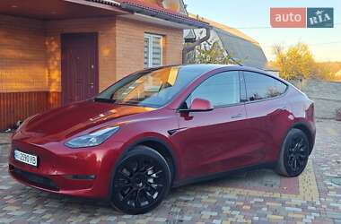 Внедорожник / Кроссовер Tesla Model Y 2024 в Фастове