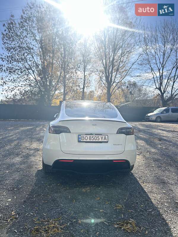 Внедорожник / Кроссовер Tesla Model Y 2022 в Бережанах